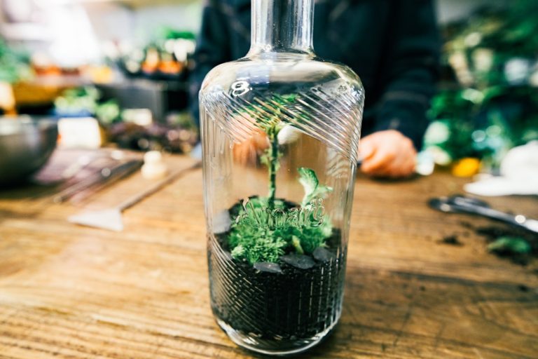 Crafting Magic: Unleashing Your Creativity Through DIY Projects